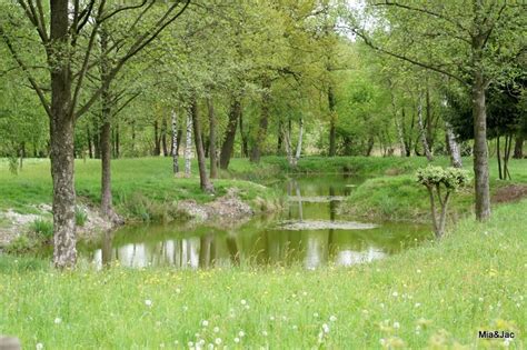 marching wandelingen